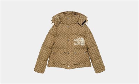 collaborazione gucci the north face